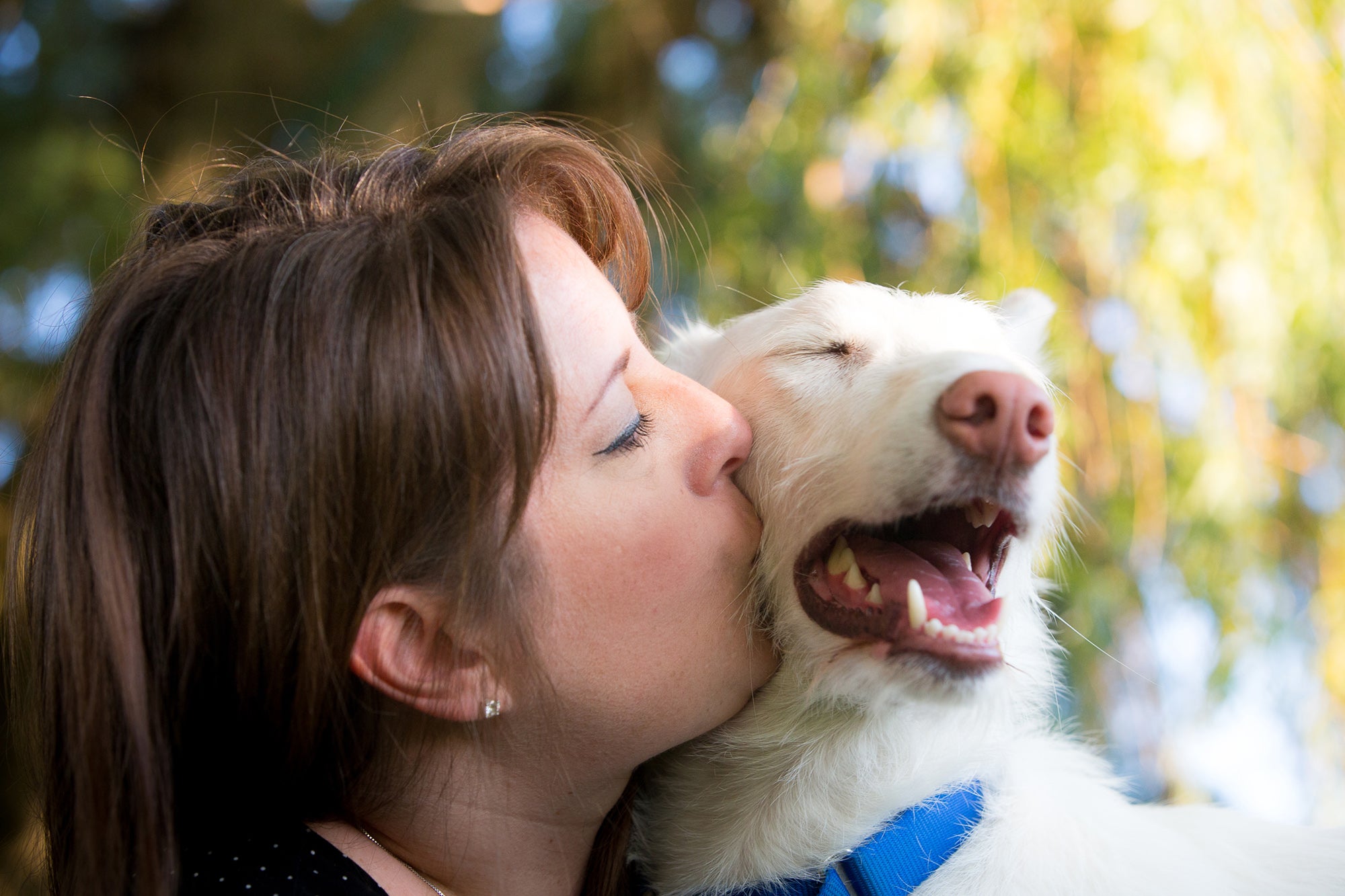 Home Must Love Dogs